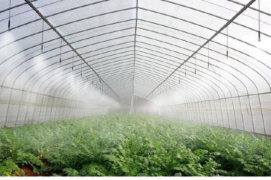 Arco de telhado Cultivo de cogumelos Luz solar Pacote de estufa Peso bruto 1000.000kg