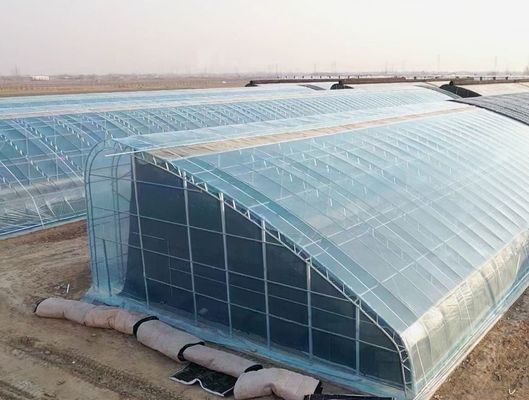 Customização Arco Túnel Estufas Sol Estufas Para Capsicum Agricultura