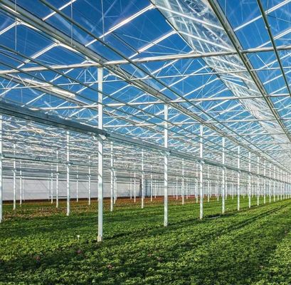 Customização Arco Túnel Estufas Sol Estufas Para Capsicum Agricultura