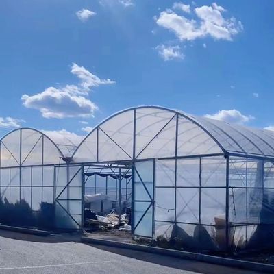 Kit de estufa comercial de vários períodos com tubo de PVC durável e sistema de irrigação por gotejamento