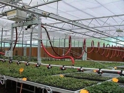 Origem Estufa de feixe de arco duplo para o Capsicum Custo de transporte e produção Estufa