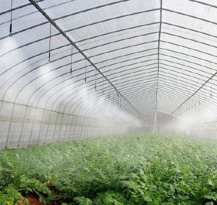 Customização Vibrator de Neve Estufas para Plantação de Tomate Solicitar a sua Customização