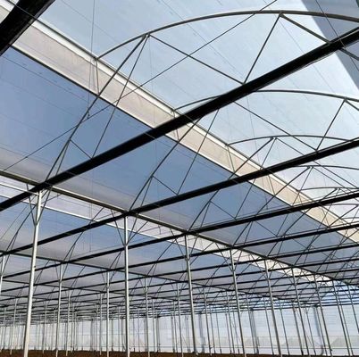 Vibrator de neve para plantação de tomate de frutas