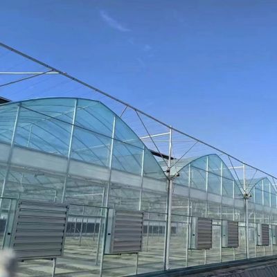 Customization Multi-Span Film Greenhouse com moeda dos EUA e solicitação personalizada