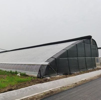 Aço Plástico Duplo Arco Design de viga Estufas Para Vegetais