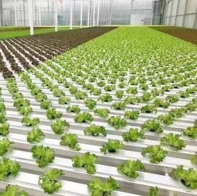 Aço Plástico Duplo Arco Design de viga Estufas Para Vegetais