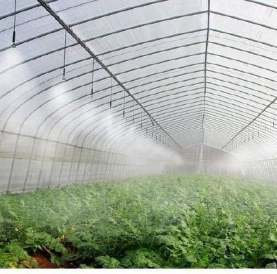 Aço Plástico Duplo Arco Design de viga Estufas Para Vegetais