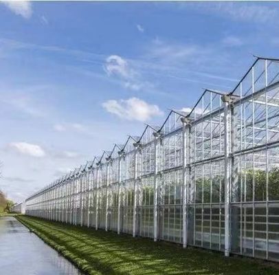 20GP 40GP 40HC Agricultura moderna Estufas de luz solar Para plantação de vegetais