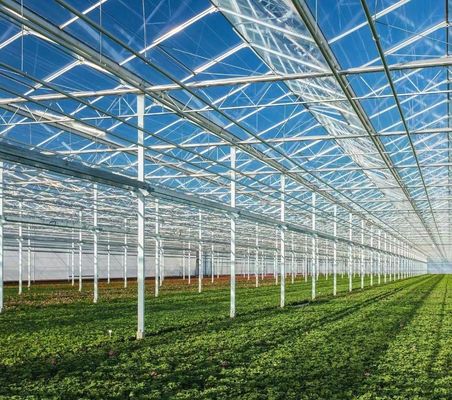 20GP 40GP 40HC Agricultura moderna Estufas de luz solar Para plantação de vegetais