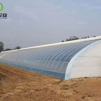 20GP 40GP 40HC Agricultura moderna Estufas de luz solar Para plantação de vegetais
