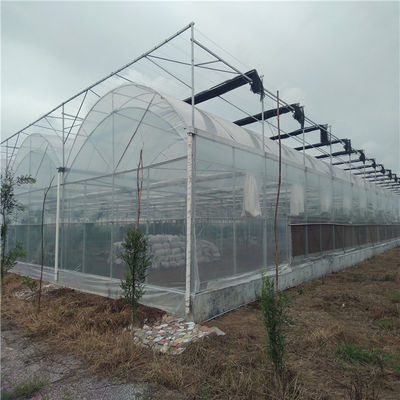Estufas de arco duplo para tomate/peito de pepino