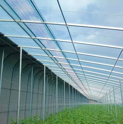 Estufas de arco duplo para tomate/peito de pepino
