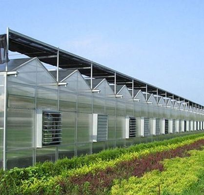 Estufas de arco duplo para tomate/peito de pepino