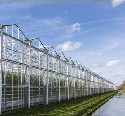 Estufas de arco duplo para tomate/peito de pepino