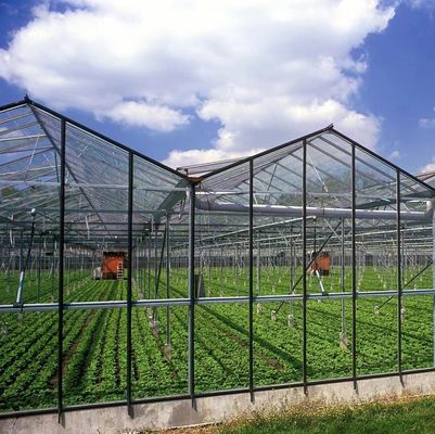 Clima de luz solar moderna personalizada de camada dupla para os requisitos de plantação de cogumelos