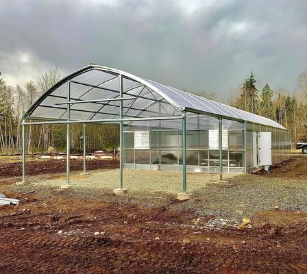 Clima de luz solar moderna personalizada de camada dupla para os requisitos de plantação de cogumelos
