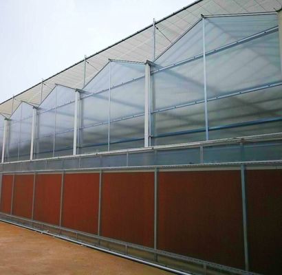 Clima de luz solar moderna personalizada de camada dupla para os requisitos de plantação de cogumelos