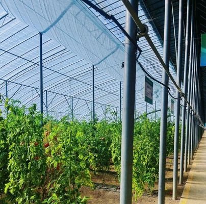 Clima de luz solar moderna personalizada de camada dupla para os requisitos de plantação de cogumelos