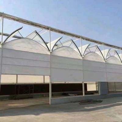 Estufas de vidro de luz solar moderna com sistema de irrigação automática