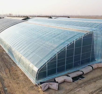 Estufas de vidro de luz solar moderna com sistema de irrigação automática