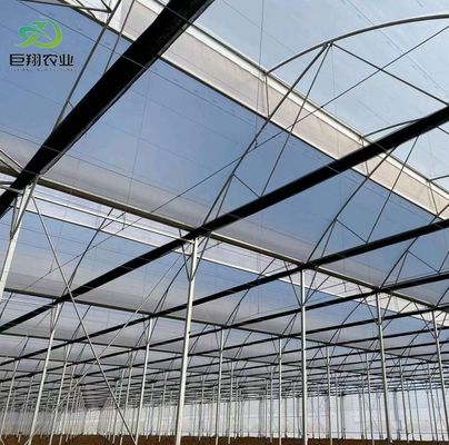 Estufas de vidro de luz solar moderna com sistema de irrigação automática