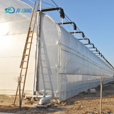 Estufas de vidro de luz solar moderna com sistema de irrigação automática