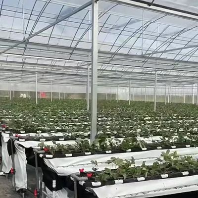 Materiais de construção duráveis Estufas de estufa com estrutura de aço