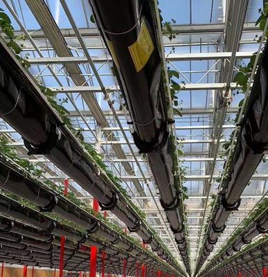 Estufa de luz solar inteligente agrícola de duas camadas com rede à prova de insetos