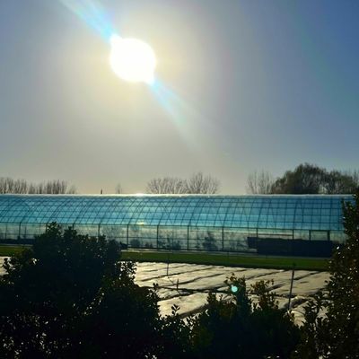 Estufa de luz solar inteligente agrícola de duas camadas com rede à prova de insetos