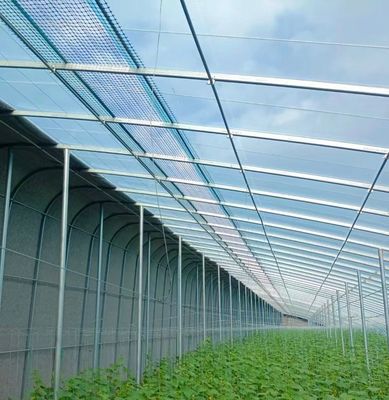 Estufa de luz solar inteligente agrícola de duas camadas com rede à prova de insetos
