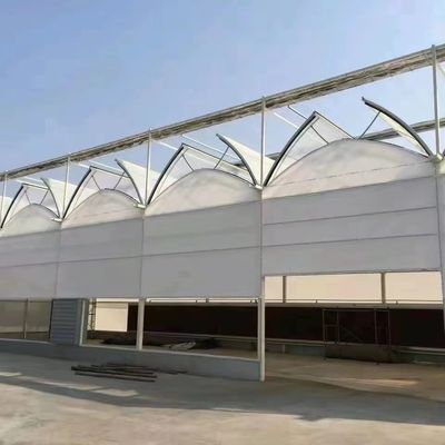 Estufa de luz solar inteligente agrícola de duas camadas com rede à prova de insetos