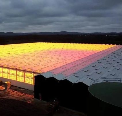 Estufa de luz solar inteligente agrícola de duas camadas com rede à prova de insetos