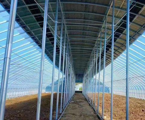 Estufa de luz solar inteligente agrícola de duas camadas com rede à prova de insetos