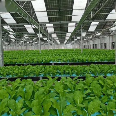 Frigorífico solar fotovoltaico com arco de múltiplas faixas, tipo PE/Po, de película plástica, para desempenho