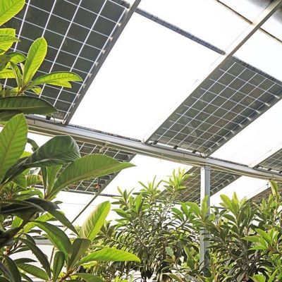 Frigorífico solar fotovoltaico com arco de múltiplas faixas, tipo PE/Po, de película plástica, para desempenho