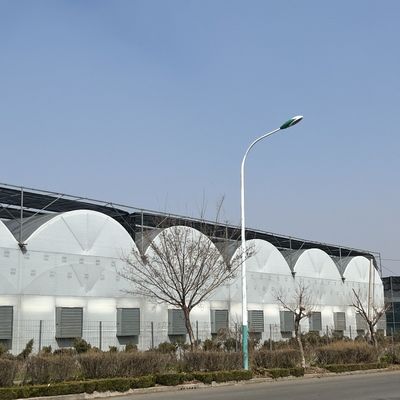 Pagamento inicial JX-A0050 Frigorífico agrícola de tubulação de água para produção de vegetais