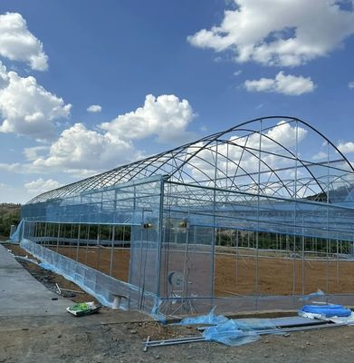 Pagamento inicial JX-A0050 Frigorífico agrícola de tubulação de água para produção de vegetais