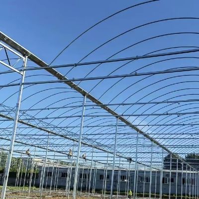 Estufas personalizadas de filme multi-span para plantação de flores 30 dias garantia de devolução do dinheiro