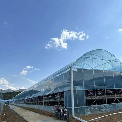 Estufas com sombra 30 dias devolução reembolsos agora em oferta de tempo limitado