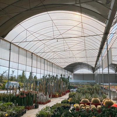 EUA Estufa multi-espans com sistema de irrigação por gotejamento e pagamento inicial