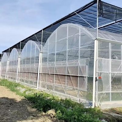 EUA Estufa multi-espans com sistema de irrigação por gotejamento e pagamento inicial
