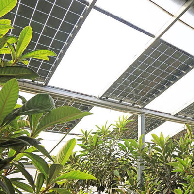 Hidroponia e cultivo sem solo Estufas multicamadas jx-SG-6 com armazenamento de calor