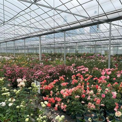 Pacote de estufas flexíveis para a produção de vegetais Peso bruto 20.000 kg