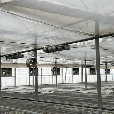 Pacote de estufas flexíveis para a produção de vegetais Peso bruto 20.000 kg
