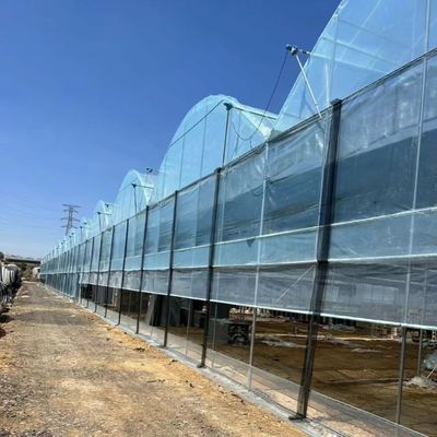 Solução personalizada de rendimento de estufa de vários períodos para produção de vegetais hidropônicos