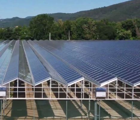 Materiais de construção Estrutura de aço Arco de vários intervalos Estufa fotovoltaica jx-SG-9