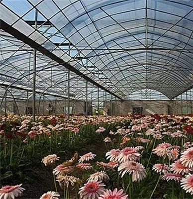 Estufas multi-span com irrigação avançada sobre custo de envio e tempo de entrega