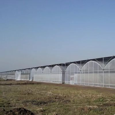 Estufas multi-span com irrigação avançada sobre custo de envio e tempo de entrega