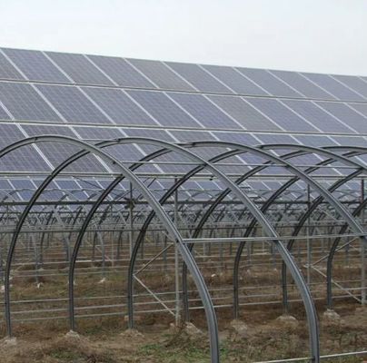 Estufas de arco único de alta umidade com telhado arcado/Venloche e painéis solares