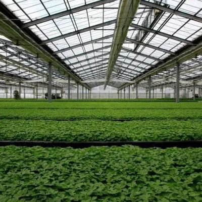 Estufas de arco único de alta umidade com telhado arcado/Venloche e painéis solares